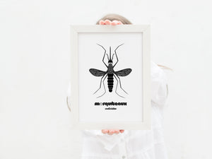 Mosquiteaux